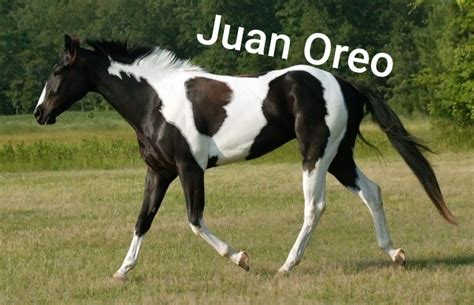 See, rate and share the best juan memes, gifs and funny pics. Top memes de Juan en español :) Memedroid