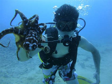 Hawaii Scuba Diving 08 18 2016