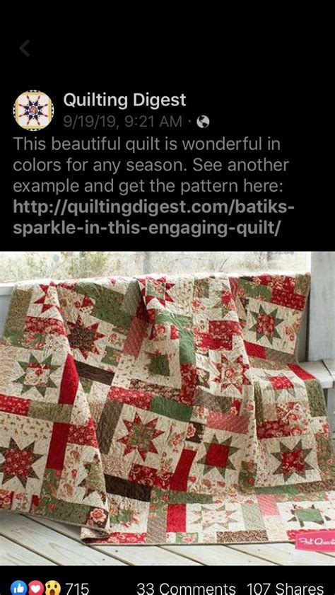 Pin By Marylou Donovan On Quilts Christmas Quilts Beautiful Quilts