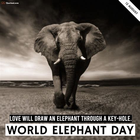 29 Best World Elephant Day 2022 Quotes Sayings Wishes Greetings