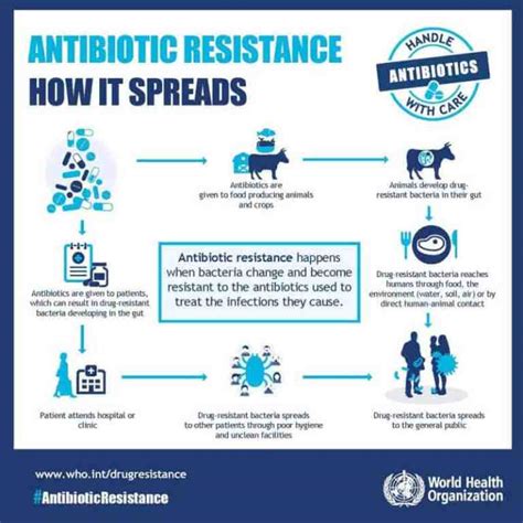 Know All About The Antimicrobial Resistance Panacea Concept