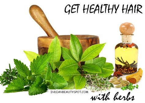 Get Healthy Hair With Herbs The Indian Spot