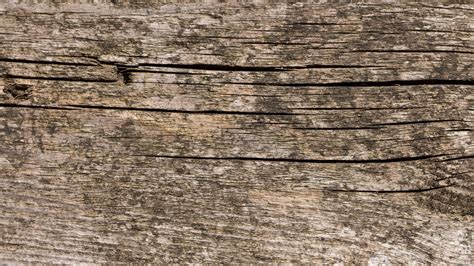 Free Photo Old Wood Fence Old Structure Free Download Jooinn