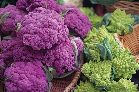 Growing Broccoli Tips And Considerations Garden Grit