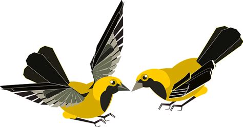 Yellow Finches Clipart Free Download Transparent Png Creazilla