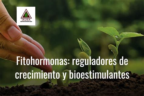 Fitohormonas Reguladores De Crecimiento Y Bioestimulantes Iausa