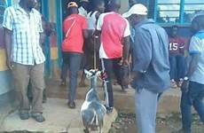 goat caught kenyan having young man sex disgraced paraded public