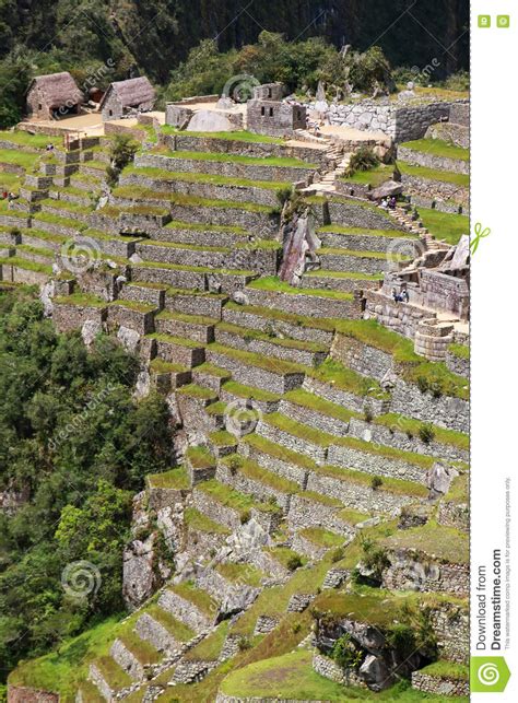 Agricultural Stone Terraces At Machu Picchu In Peru Stock Photo Image