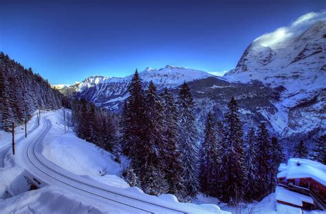 Alps Switzerland Winter Snow Railroad Tree Spruce Mountain