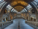 Ten Interesting Facts and Figures about London's Natural History Museum ...