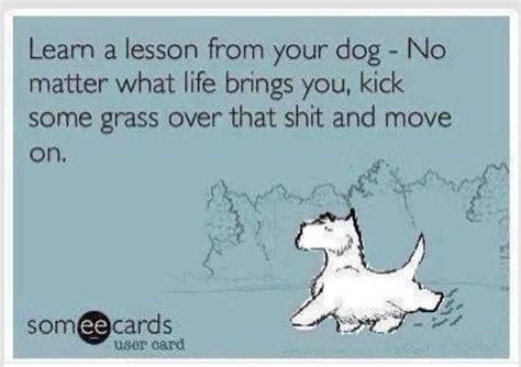 Lesson From Your Dog Funny Quotes Dog Quotes What Is Life About