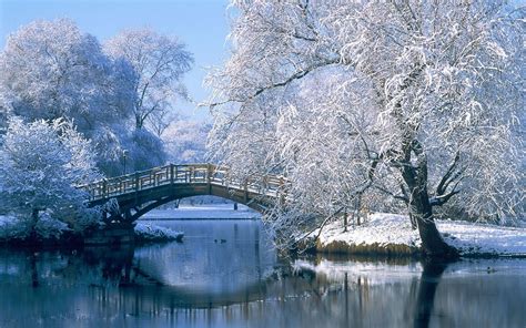 10 New Winter Wonderland Screensavers Free Full Hd 1080p For Pc Desktop