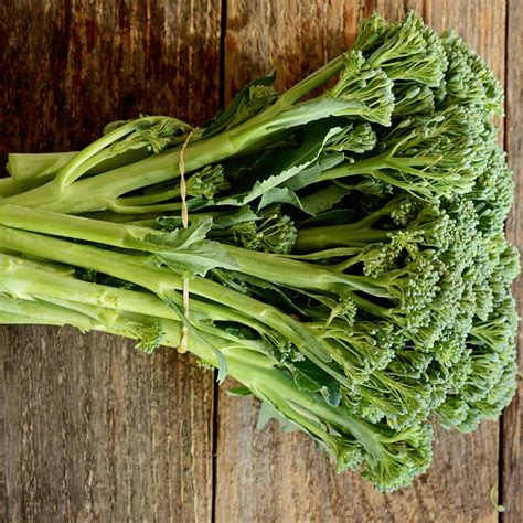 Where To Buy Broccolini Seeds Sheron Whittington