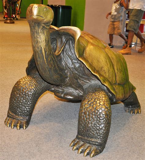 Turtle And Tortoise Statues