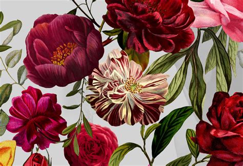 Velvet Roses Wallpaper Floral Wallcoverings Wallpapered
