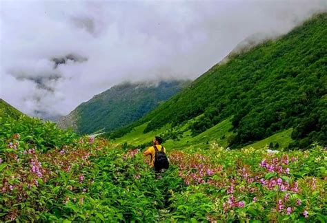 The Valley Of Flowers An Indian Paradise In The Himalayas