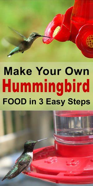 Allow the solution to cool hummingbird nectar must be completely cool before filling feeders. Homemade Hummingbird Nectar (Food Sugar Water Ratio ...