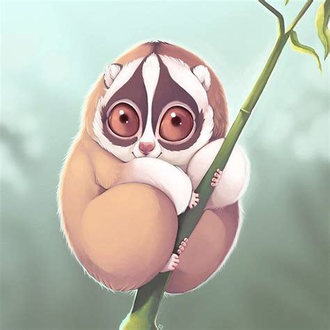 Slo Loris Art By Sammylewis Features A Drawing Of A Cute Slow Loris With Big Eyes