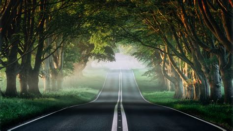 You don't know what 4k resolution is? Misty Forest Road 4K Wallpapers | HD Wallpapers | ID #28770