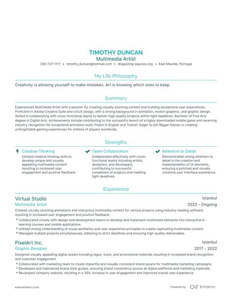 3 Multimedia Artist Resume Examples And How To Guide For 2023