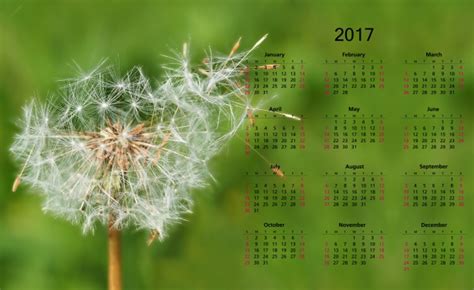 2017 Calendário Com Dandelion Foto Stock Gratuita Public Domain Pictures