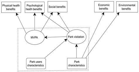 Sustainability Free Full Text Park Based Physical Activity Users