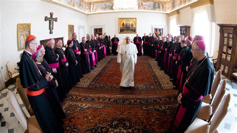 Pope Us Bishops Talk About Political Polarization Infecting The Church