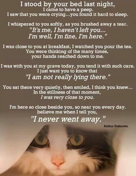 Cat Loss Poems And Quotes Quotesgram