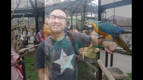 Достопримечательность mini zoo taman teruntum в 21. Jalan jalan ke kebun binatang mini di Lembang Park & Zoo ...