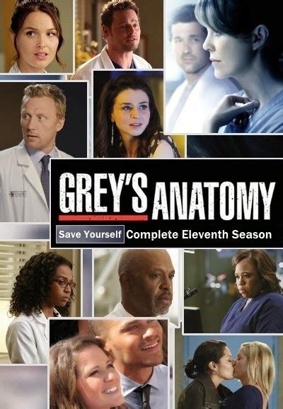 [ฝรั่ง]-Grey's Anatomy Complete Season 11 -[HDTV.H.264.AVI][From HDTV