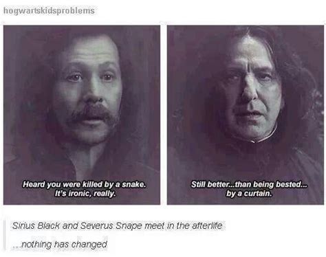Snape And Sirius Nothing Has Changed Harry Potter Funny Harry Potter Obsession Harry Potter