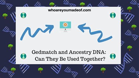 Gedmatch and Ancestry DNA: Can They Be Used Together? - Who are You ...