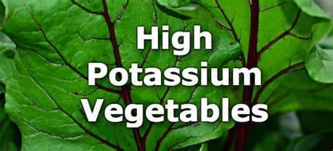 20 Vegetables High In Potassium A Ranking From Highest To Lowest