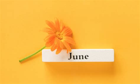 Exciting June Quotes To Inspire You Daily Brightside