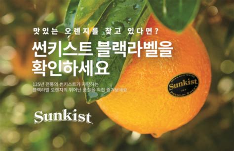 썬키스트 블랙라벨로 프리미엄 오렌지 품질 기준 높여 세계일보