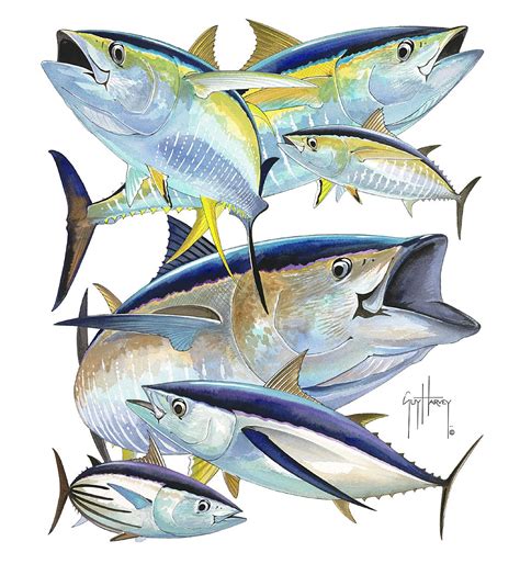 211 Tuna Collage 1125×1220 Guy Harvey Art Fish Artwork Fish
