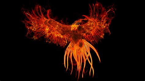 Get Fire Phoenix Bird Hd Wallpaper Download  Wallpaper Hd Collections