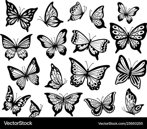 Drawing Butterflies Stencil Butterfly Moth Wings Vector Image