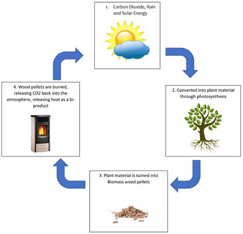 Breakdown Of Biomass
