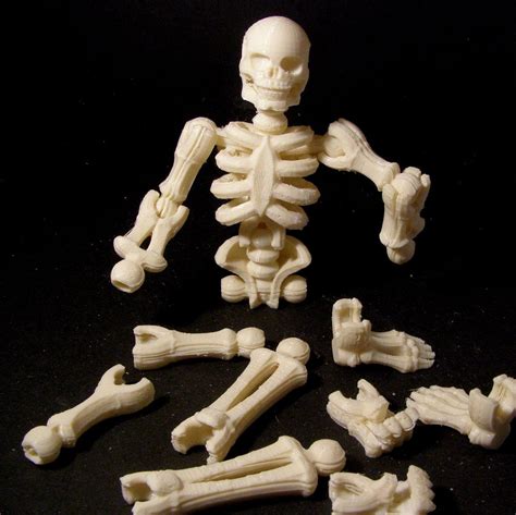 3d Printable Build Your Own Skeleton By Matthew Kaye