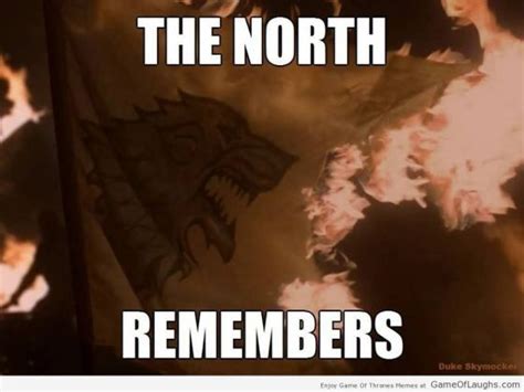 The North Remembers The North Remembers Game Of Thrones Funny Game