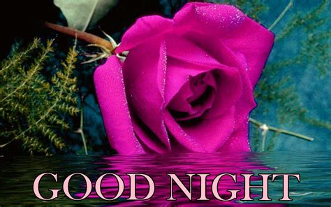 Beautiful Collection Of Good Night Wishes Images With Flowers In Hd