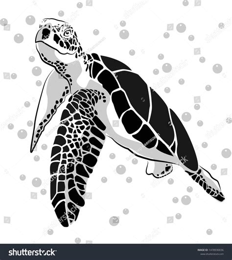 Graphic Sea Turtlevector Illustration Sea Turtle Stock Vector Royalty