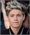 Niall Horan a big hit on Twitter - Highland Radio - Latest Donegal News ...
