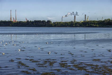 A Walk Along The Promenade Clontarf