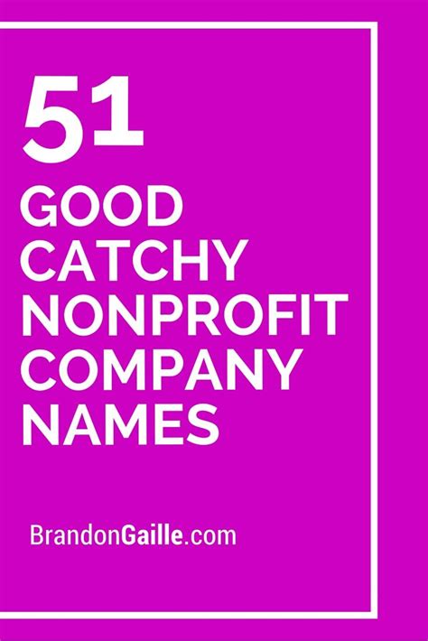 150 good catchy nonprofit company names company names catchy company names non profit