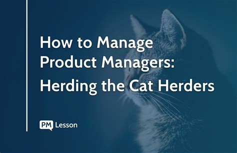 How To Manage Product Managers Herding The Cat Herders