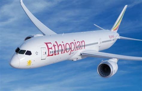 Update Ethiopian Airline Crash Black Box Recovered The Premier News