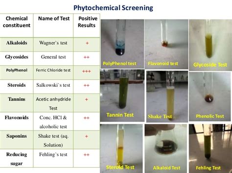 Silica gel column chromatography of the methanol leaves extract yielded one compound. Thesis presentation of sumaiya nahid