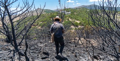 México Fue El País Más Letal Para Los Defensores Ambientales En El 2021